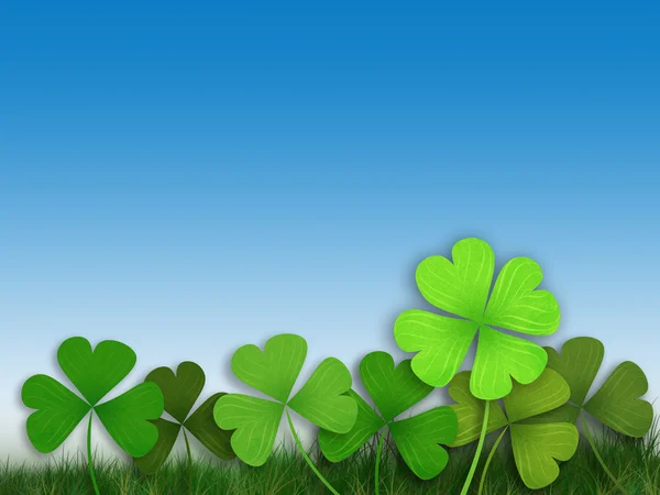 Shamrock folha trevo azul fundo — Fotografia de Stock