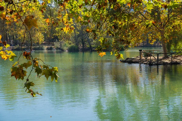 Sunny autumn lake with tree reflections