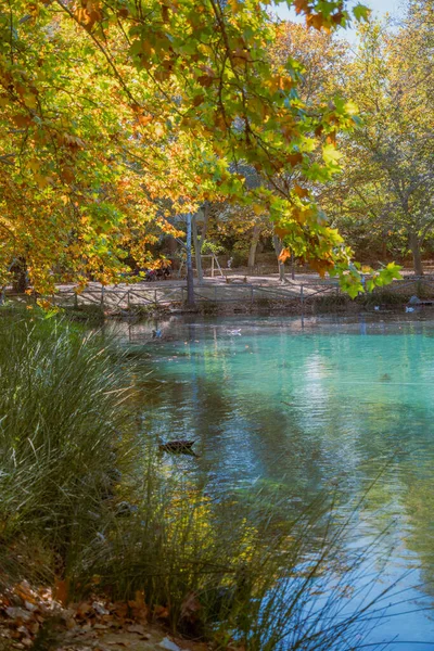 Autumn lake landscape with trees and turquoise water Vertical