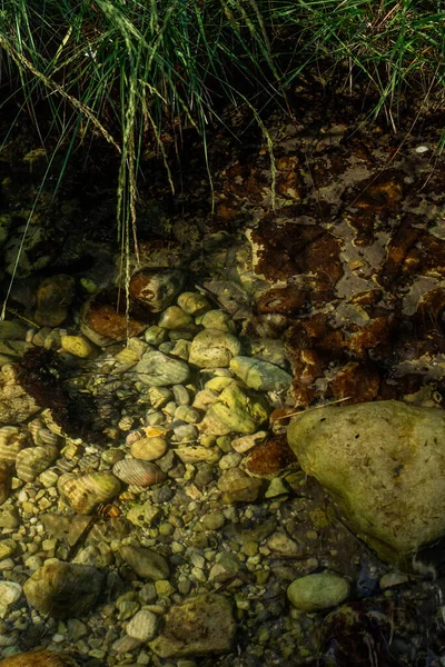 Shallow clear water revealing rocky textures with reflections of green grass above. Vertical natural landscape detail.