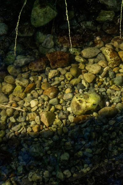 A rocky riverbed seen through shallow water illuminated by sunlight, creating warm natural patterns. Vertical landscape detail.