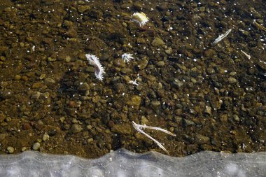 Gölet buzu alt görünümü