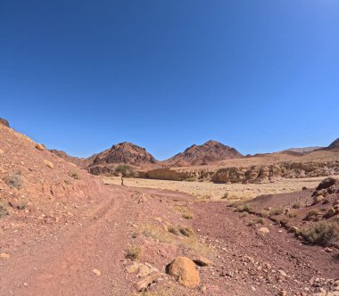 Wadi Rum Çölü Ürdün. Kızıl çöl ve Jabal Al Qattar dağı. Yıldız Savaşları, Arabistanlı Lawrence filmlerinin çekildiği ünlü filmler..