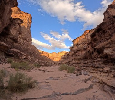 Wadi Rum Çölü Ürdün. Kızıl çöl ve Jabal Al Qattar dağı. Yıldız Savaşları, Arabistanlı Lawrence filmlerinin çekildiği ünlü filmler..