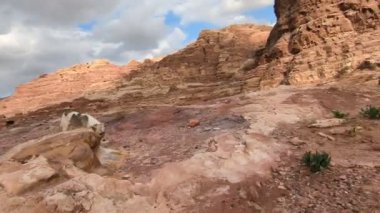 Wadi Rum Çölü, Ürdün. Kızıl çöl ve Jabal Al Qattar dağı. Çekimlerin yapıldığı ünlü filmler, Yıldız Savaşları, Arabistanlı Lawrence. Ürdün yolunda yürüyorum.