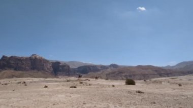 Wadi Rum Çölü, Ürdün. Kızıl çöl ve Jabal Al Qattar dağı. Çekimlerin yapıldığı ünlü filmler, Yıldız Savaşları, Arabistanlı Lawrence. Ürdün yolunda yürüyorum.