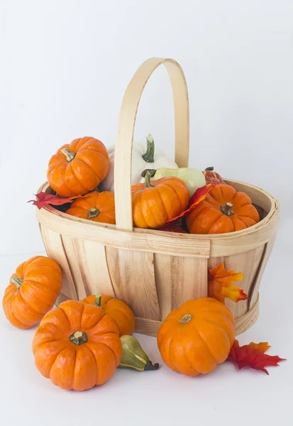 Pumpkins in a basket — Stock Photo, Image