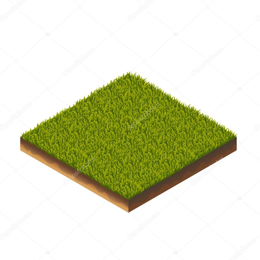 Grass Isometric Illustration