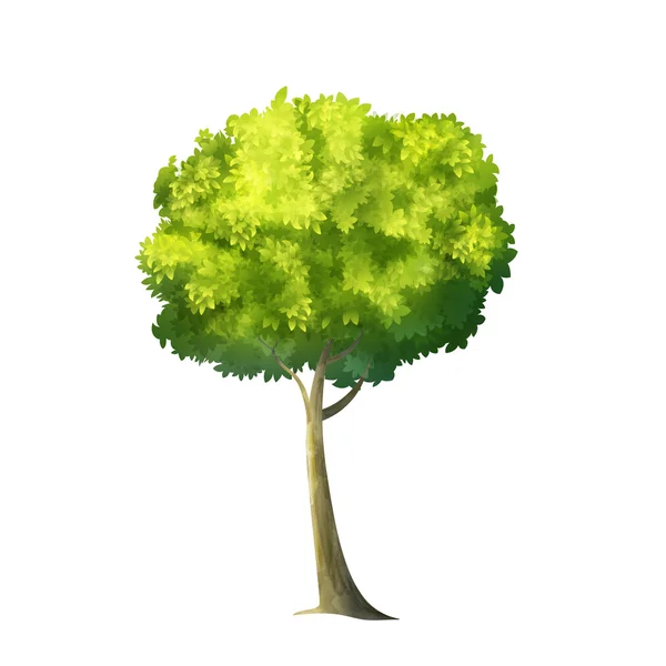 Μεγάλο πράσινο δέντρο Εικονογράφηση Αρχείου