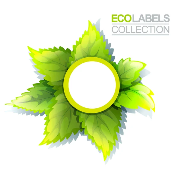 Green Eco Label — Stock Vector