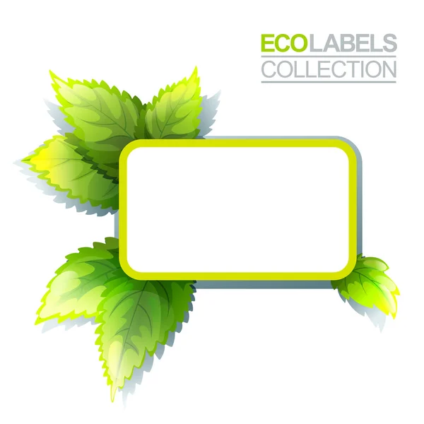 Label ECO vert — Image vectorielle