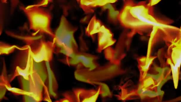 Floating fire, realistic animation — Stock Video