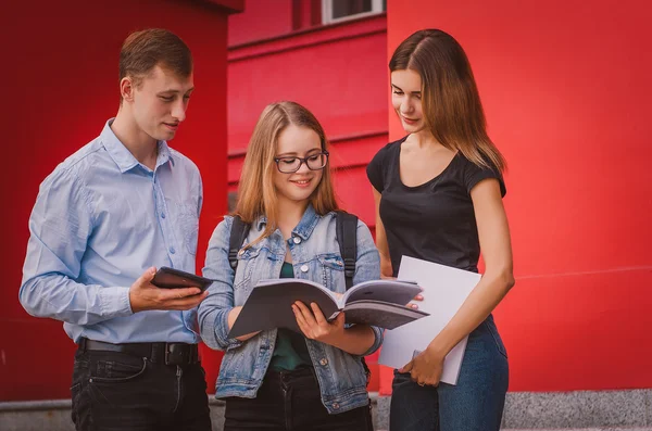 Estudiantes felices de pie en una escalera y comunicarse — Foto de Stock