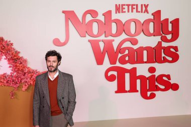 Adam Brody, Netflix 'in 
