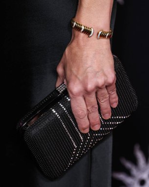 Sutton Foster, 26 Ekim 2025 'te Hollywood, Los Angeles' taki TCL Çin Tiyatrosu IMAX 'te düzenlenen Odak Özelliklerinin' Song Sung Blue 'galasının kapanış gecesi galası olan Canva tarafından sunulan 2025 AFI (Amerikan Film Enstitüsü) festivaline geldi.