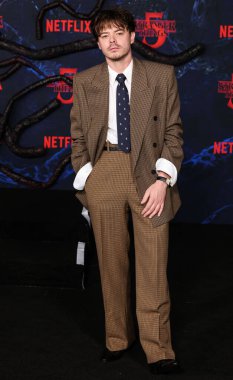 Charlie Heaton, Netflix 'in 