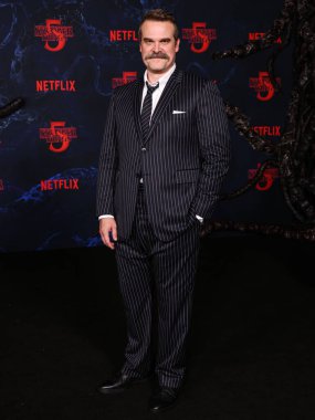 David Harbour, Netflix 'in 