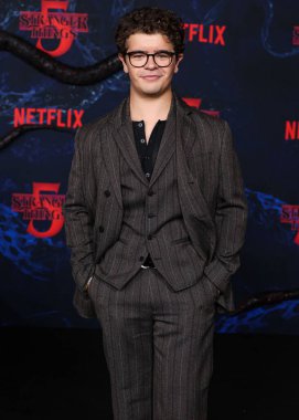 Gaten Matarazzo, Netflix 'in 