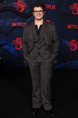 Gaten Matarazzo, Netflix 'in 