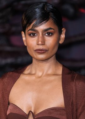 Linnea Berthelsen, Netflix 'in 