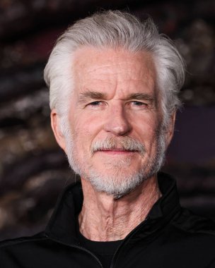 Matthew Modine, Netflix 'in 