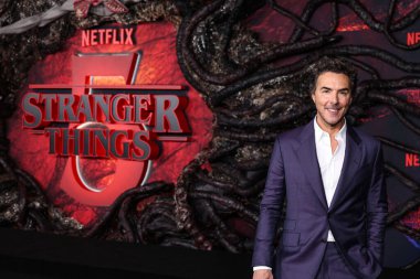 Shawn Levy, Netflix 'in 