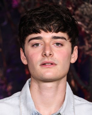 Kanadalı-Amerikalı aktör ve girişimci Noah Schnapp Netflix FYSEE: The Fall Edit - 'Yabancı Şeyler' Sezon 5 FYC (Düşünceleriniz İçin) 8 Kasım 2025 'de Hollywood, Los Angeles' ta Netflix Tudum Tiyatrosu 'nda düzenlenen etkinliğe katıldı.