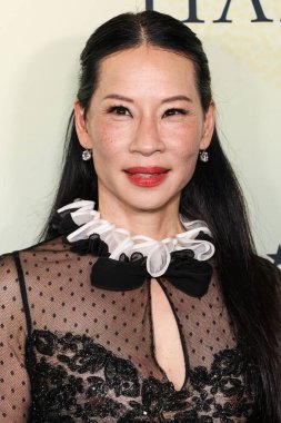 Amerikalı aktris, yapımcı ve sanatçı Lucy Liu, 14 Kasım 2025 'te Beverly Hills, LA, CA, ABD' de Four Seasons Hotel Los Angeles 'ta düzenlenen Eleştirmenler Seçme Derneği' nin 4..