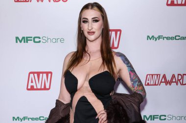 Avalon Mira, 20 Kasım 2025 'te AVALON Hollywood ve Bardot' ta düzenlenen 2026 AVN Ödülleri Adaylık Partisi 'ne geldi..