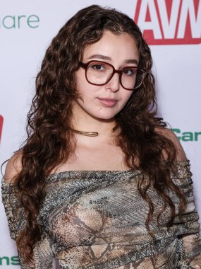 Leana Lovings, 20 Kasım 2025 'te AVALON Hollywood ve Bardot' ta düzenlenen 2026 AVN Ödülleri Adaylık Partisi 'ne geldi..