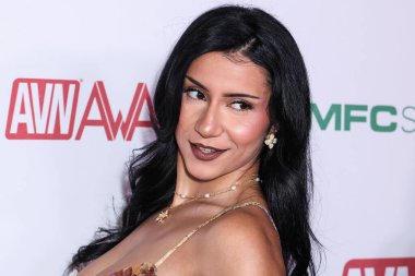 Roxie Sinner (Nancy Ibrahim), 20 Kasım 2025 tarihinde AVALON Hollywood ve Bardot 'ta düzenlenen 2026 AVN Ödülleri Adaylık Partisi' ne katılır..