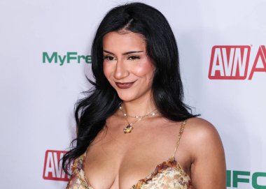 Roxie Sinner (Nancy Ibrahim), 20 Kasım 2025 tarihinde AVALON Hollywood ve Bardot 'ta düzenlenen 2026 AVN Ödülleri Adaylık Partisi' ne katılır..