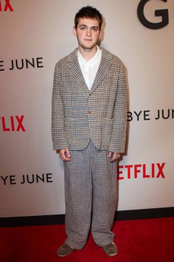 Amerikalı-İngiliz aktör Joe Anders, Netflix 'in 