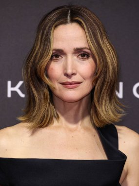 Celine Resort 2026 elbisesi giyen Rose Byrne, Palm Springs Uluslararası Film Festivali Film Ödülleri 'ne 3 Ocak 2026' da Palm Springs, Riverside County, Kaliforniya 'da düzenlenen 37.