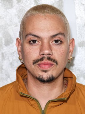 Evan Ross, Warner Music Group Grammy Ödülleri Partisi 2026 'ya (68. Grammy Ödülleri) 29 Ocak 2026' da Hollywood, Los Angeles, Kaliforniya, ABD 'de Sunset Bulvarı 6400 numarada ulaştı..
