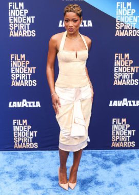 John Galliano SS04 RTW 'nin Christian Dior' unu giyen Keke Palmer, 15 Şubat 2026 'da Hollywood Palladium' da düzenlenen 41. Yıllık Bağımsız Film Ruhu Ödülleri 'ne ulaştı..