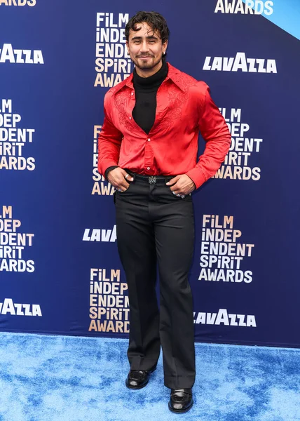 Michael Cimino, 15 Şubat 2026 'da Hollywood Paladyumu' nda düzenlenen 41. Yıllık Bağımsız Film Ödülleri 'ne geliyor..