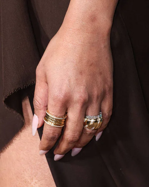 Priyanka Chopra Jonas, 17 Şubat 2026 'da Hollywood, Los Angeles, Kaliforniya, ABD' de bulunan TCL Çin Tiyatrosu IMAX 'te düzenlenen Amazon Prime Video' nun Dünya prömiyerine geldi..