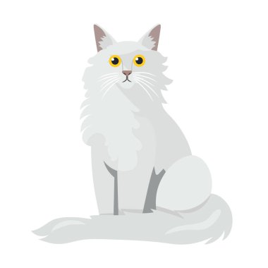 Angora kedisi. İzole edilmiş arkaplan ile düz vektör clipart illüstrasyonu.