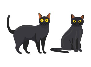 Bombay kedisi. İzole edilmiş arkaplan ile düz vektör clipart illüstrasyonu.