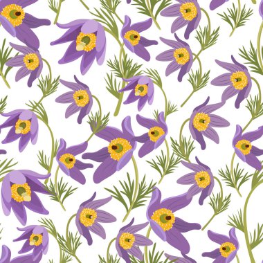 Pasque flower seamless pattern. Flat vector clipart, illustration with isolated background.