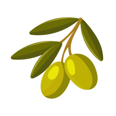 Bir zeytin dalı. Düz vektör clipart, izole edilmiş arkaplan ile illüstrasyon.