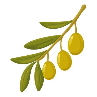 Bir zeytin dalı. Düz vektör clipart, izole edilmiş arkaplan ile illüstrasyon.