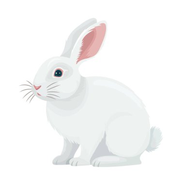 Beyaz tavşan. Düz vektör clipart, izole edilmiş arkaplan ile illüstrasyon.