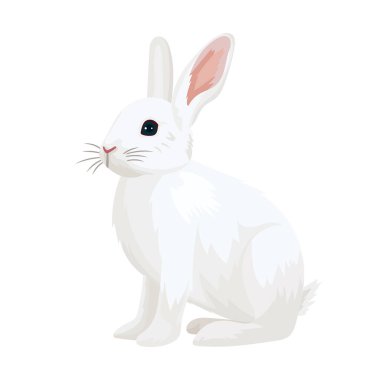 Beyaz tavşan. Düz vektör clipart, izole edilmiş arkaplan ile illüstrasyon.