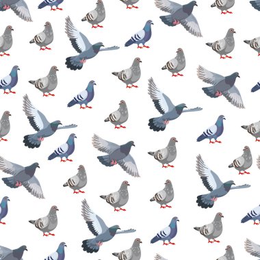 Güvercin kuşu kusursuz desen. Düz vektör clipart, izole edilmiş arkaplan ile illüstrasyon.