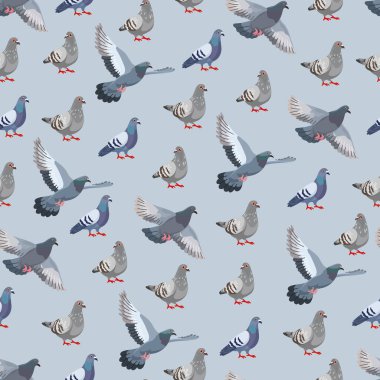 Güvercin kuşu kusursuz desen. Düz vektör clipart, izole edilmiş arkaplan ile illüstrasyon.