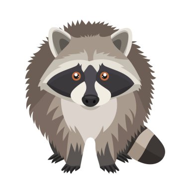 Rakun. Düz vektör clipart, izole edilmiş arkaplan ile illüstrasyon.