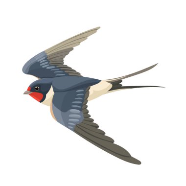 Kırlangıç uçuyor. Düz vektör clipart, izole edilmiş arkaplan ile illüstrasyon.