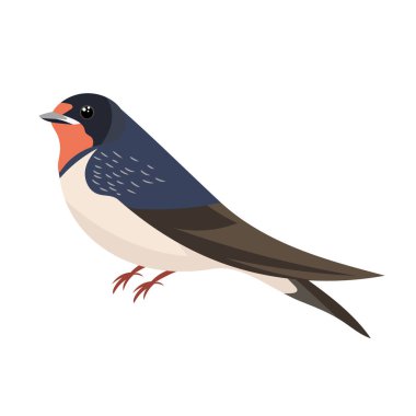 Yut şunu. Düz vektör clipart, izole edilmiş arkaplan ile illüstrasyon.